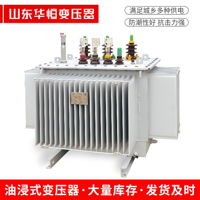 S13-10000/35萨尔图萨尔图萨尔图电力变压器